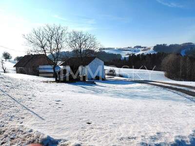 Bauernhaus kaufen in 4730 Waizenkirchen (Bild 4)