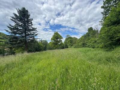 Grundstück kaufen in 8330 Feldbach