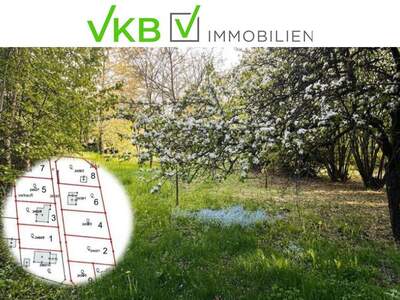 Grundstück kaufen in 4211 Spattendorf