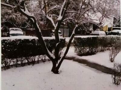 Erdgeschosswohnung provisionsfrei kaufen in 1140 Wien