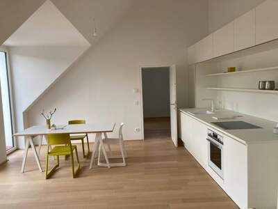 Anlageobjekt kaufen in 4020 Linz