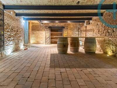 Gewerbeobjekt mieten in 2340 Mödling (Bild 5)