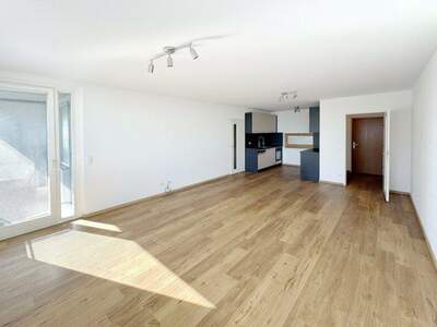 Terrassenwohnung mieten in 1220 Wien (Bild 2)