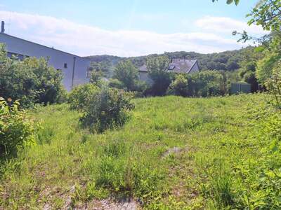 Grundstück kaufen in 3400 Klosterneuburg