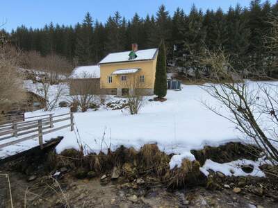 Haus mieten in 8692 Neuberg (Bild 1)