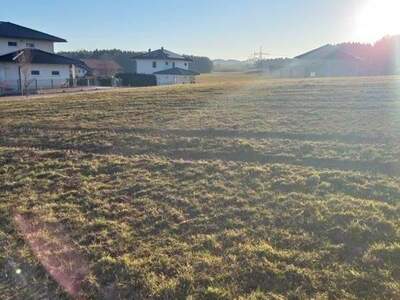 Grundstück kaufen in 5163 Palting