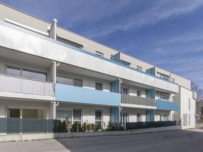 Wohnung mieten in 3150 Wilhelmsburg