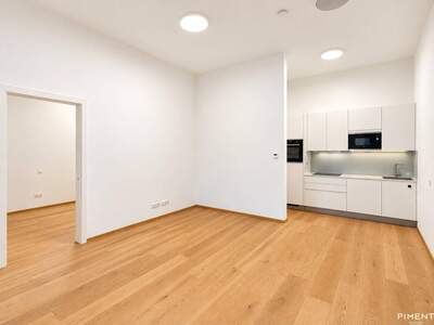 Wohnung kaufen in 1080 Wien