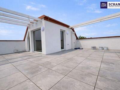 Terrassenwohnung kaufen in 2514 Traiskirchen (Bild 2)