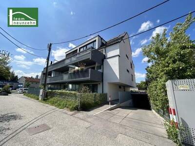 Halle / Lager / Produktion kaufen in 1220 Wien (Bild 1)