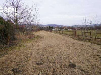 Grundstück kaufen in 2100 Stetten (Bild 4)