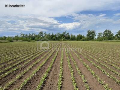 Gewerbeobjekt mieten in 2601 Sollenau