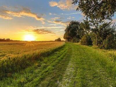 Grundstück kaufen in 4372 St.Gerogen