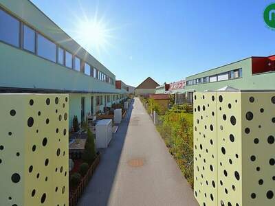 Haus kaufen in 1220 Wien