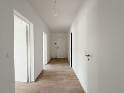 Terrassenwohnung kaufen in 1100 Wien (Bild 5)