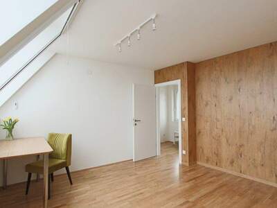 Terrassenwohnung mieten in 1070 Wien (Bild 3)