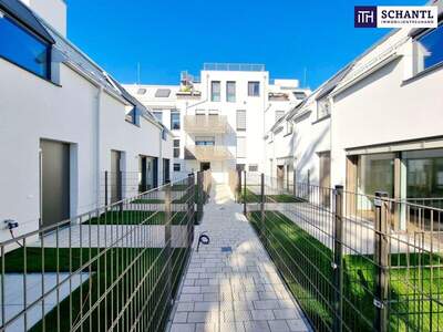 Terrassenwohnung kaufen in 1230 Wien (Bild 3)