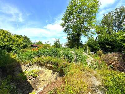 Grundstück kaufen in 1220 Wien