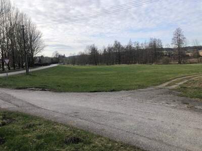 Grundstück kaufen in 4760 Raab