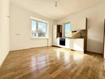 Wohnung mieten in 1130 Wien