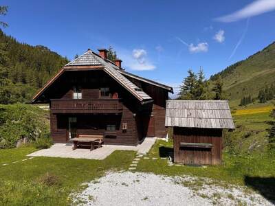 Anlageobjekt kaufen in 8953 Planneralm (Bild 1)