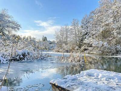 Haus kaufen in 9500 Villach