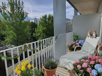 Wohnung mieten in 8010 Graz (Bild 3)