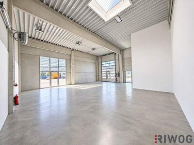 Produktion mieten in 2100 Korneuburg (Bild 2)