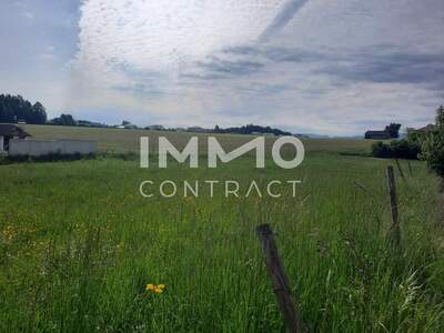 Grundstück kaufen in 4540 Bad Hall