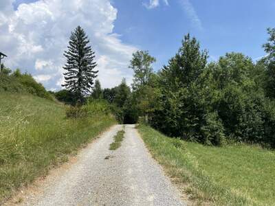 Grundstück kaufen in 8045 Weinitzen (Bild 4)