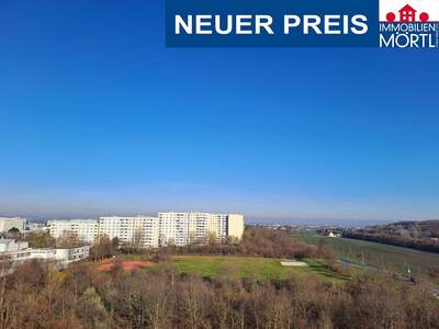 Terrassenwohnung kaufen in 1210 Wien (Bild 1)