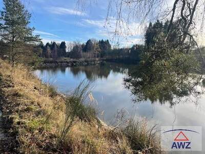 Gewerbeobjekt kaufen in 3874 Heidenreichstein