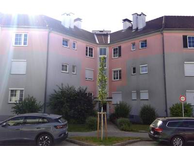 Wohnung mieten in 2700 Wiener Neustadt