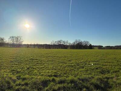 Wohnung kaufen in 5163 Mundenham