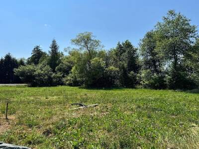 Grundstück kaufen in 8421 Wolfsberg (Bild 4)