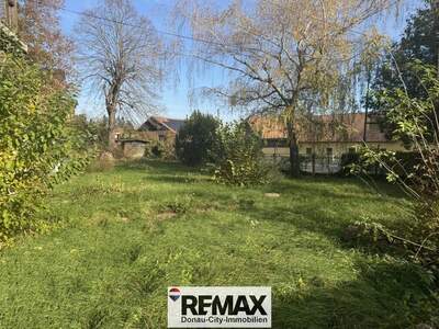 Grundstück kaufen in 3434 Katzelsdorf