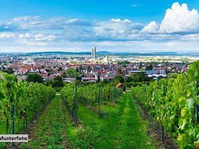 Gewerbeobjekt kaufen in 2340 Mödling