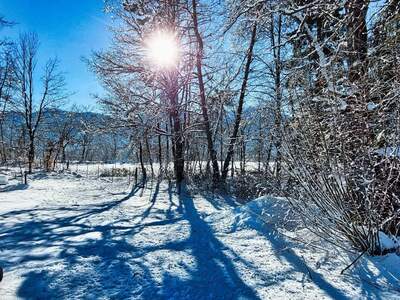 Grundstück kaufen in 9184 St. Jakob (Bild 3)