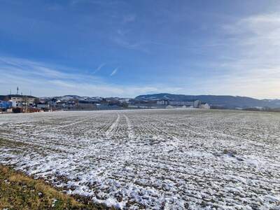 Haus mit Garten kaufen in 4400 Steyr (Bild 5)