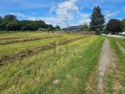 Grundstück kaufen in 9560 Feldkirchen