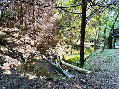 Gewerbeobjekt kaufen in 8462 Gamlitz (Bild 5)