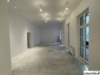 Gewerbeobjekt mieten in 1010 Wien (Bild 5)