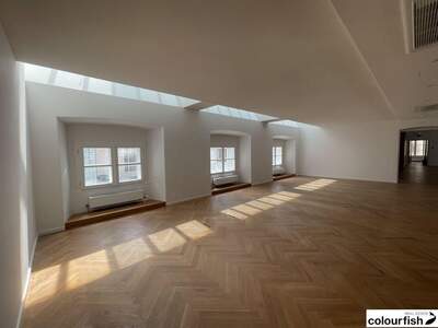 Gewerbeobjekt mieten in 1010 Wien (Bild 2)