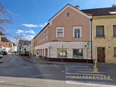 Anlageobjekt kaufen in 2620 Neunkirchen (Bild 1)