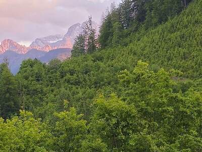 Gewerbeobjekt kaufen in 8933 Sankt Gallen (Bild 1)