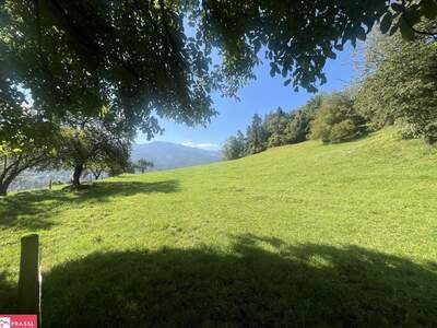 Grundstück kaufen in 8712 Proleb (Bild 3)