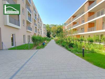 Terrassenwohnung mieten in 3100 St. Pölten (Bild 2)