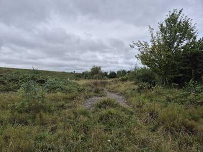 Grundstück mieten in 3071 Böheimkirchen