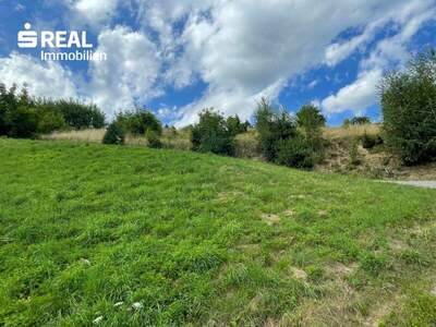 Grundstück kaufen in 8541 Bad Schwanberg (Bild 1)