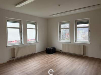 Gewerbeobjekt mieten in 2351 Wiener Neudorf (Bild 4)